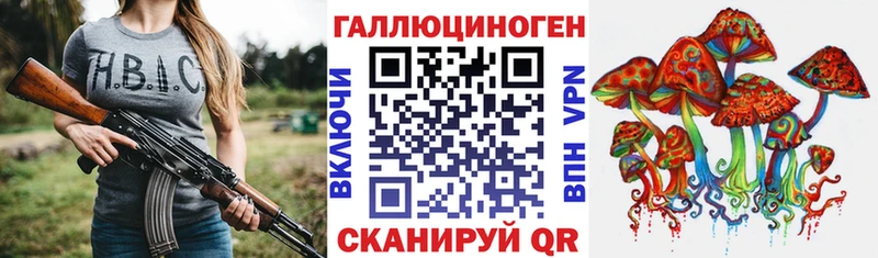 купить наркотики цена  Шимановск  Псилоцибиновые грибы Psilocybe 